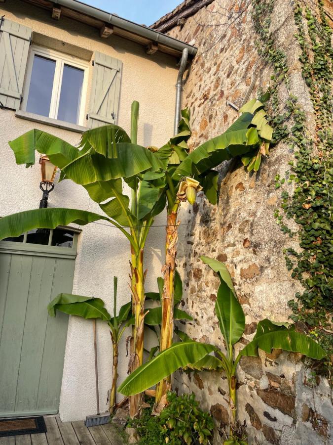 Maison Hirondelles Gites Mezieres-sur-Issoire 외부 사진
